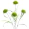 Green Carnation Stem by Ashland&#xAE;